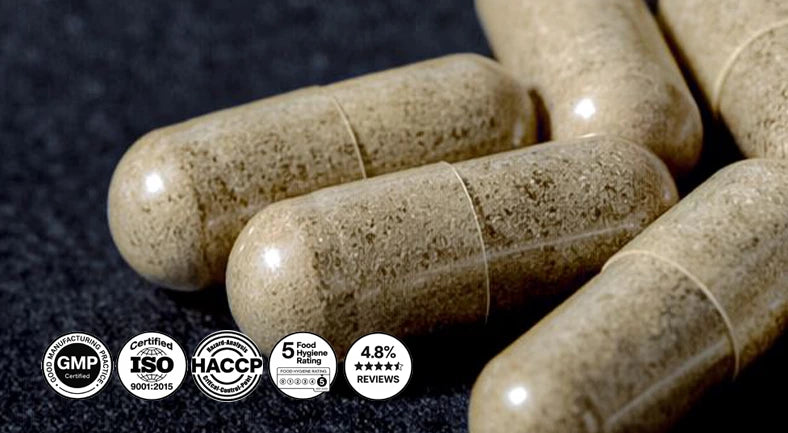 WiredWrong - What's Inside Ingredients