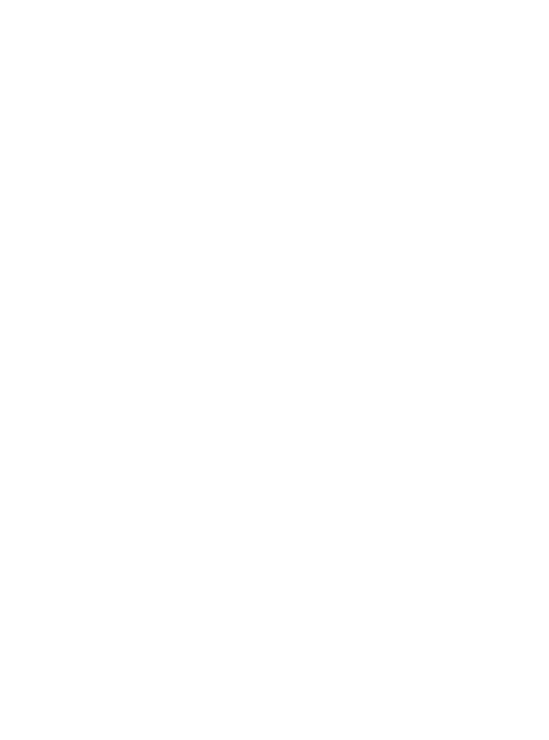 Continuum (All-Day Drive)